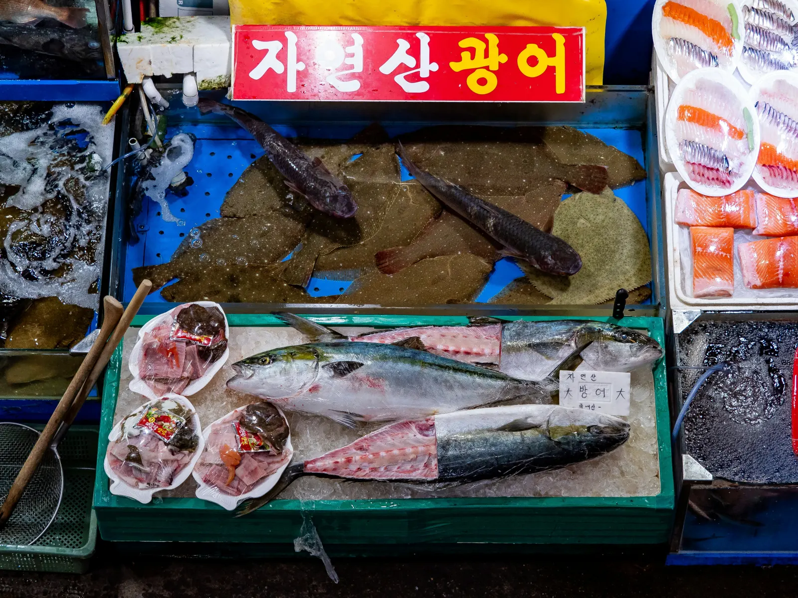 노량진 수산시장의 생선 좌판